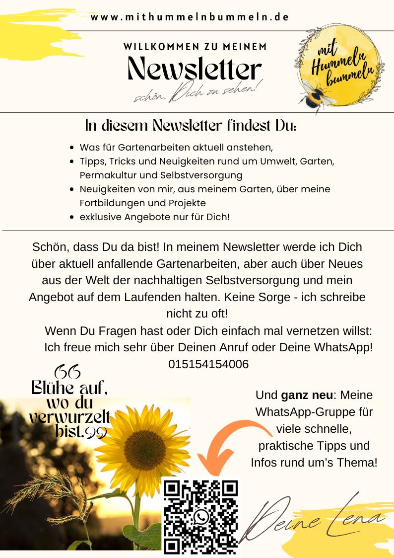 Willkommen Newsletter